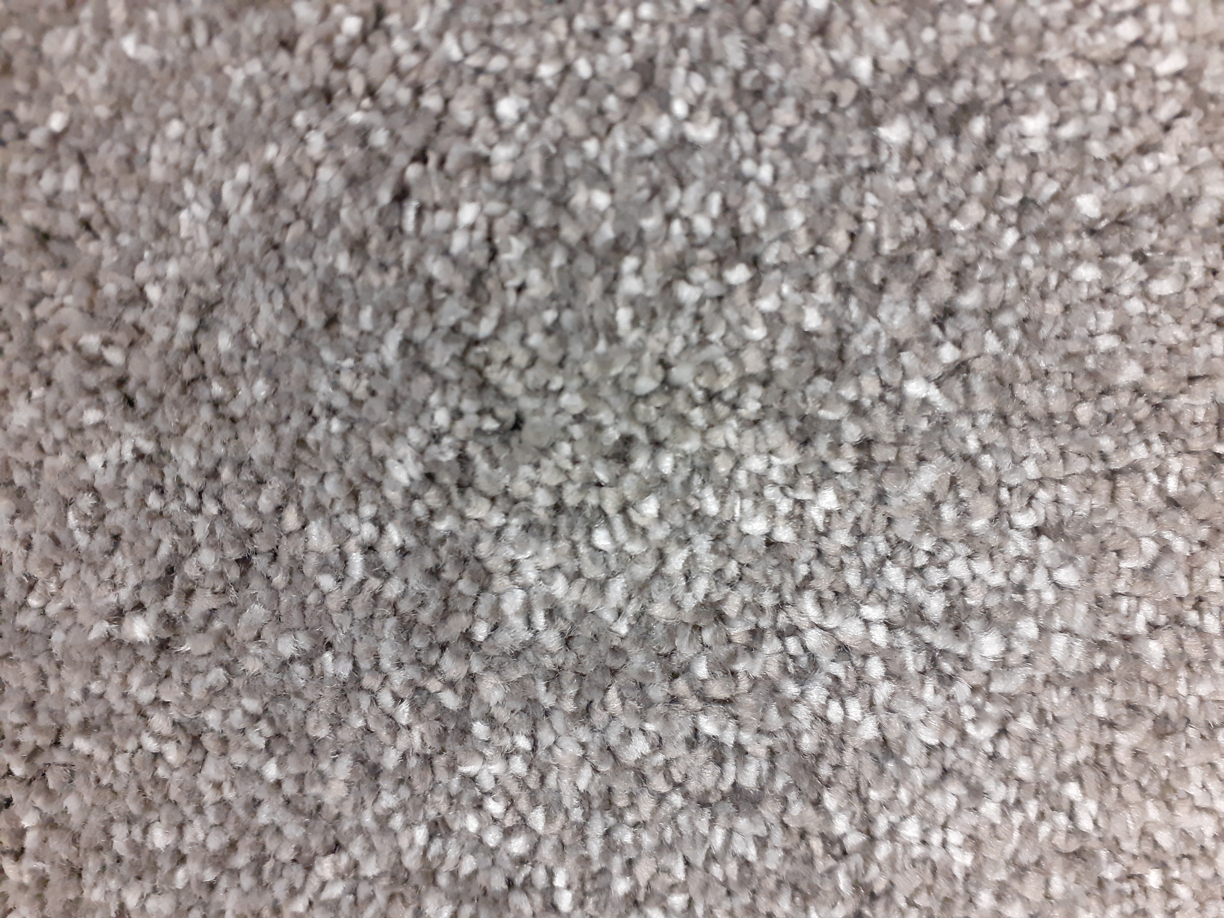 OAKLEY SAXONY WOLF GREY